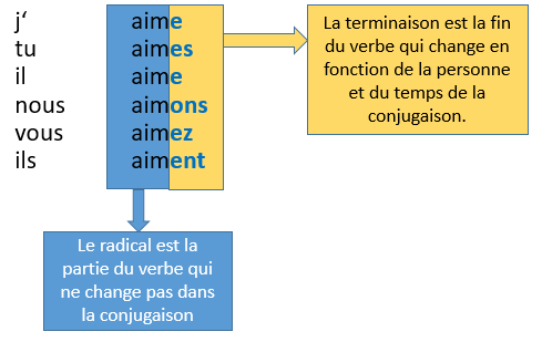 Radical et terminaison dans la conjugaison